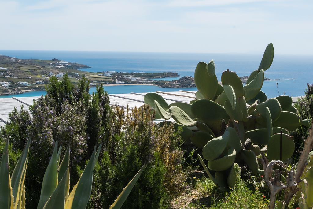 Villa Psarou Summer Psarou (Mykonos)